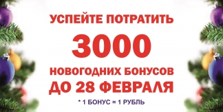 Успейте потратить новогодние бонусы до 28 февраля 2017 года в любом магазине 